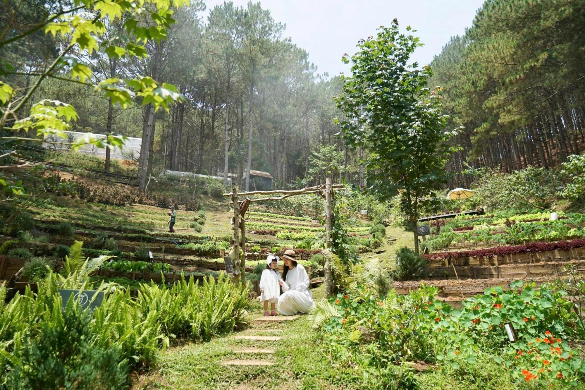 Mo Stay - Forest Resort Dalat Luaran gambar