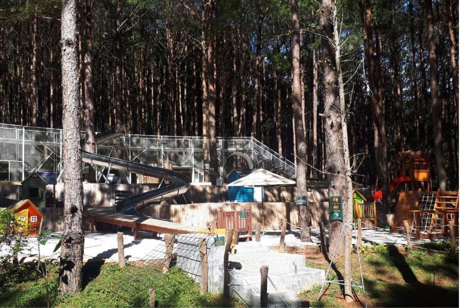 Mo Stay - Forest Resort Dalat Luaran gambar