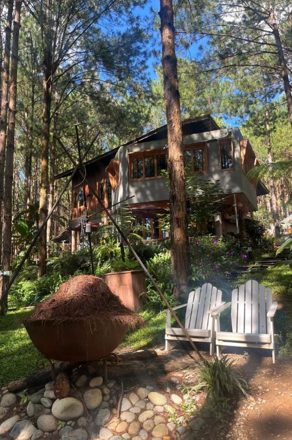 Mo Stay - Forest Resort Dalat Luaran gambar