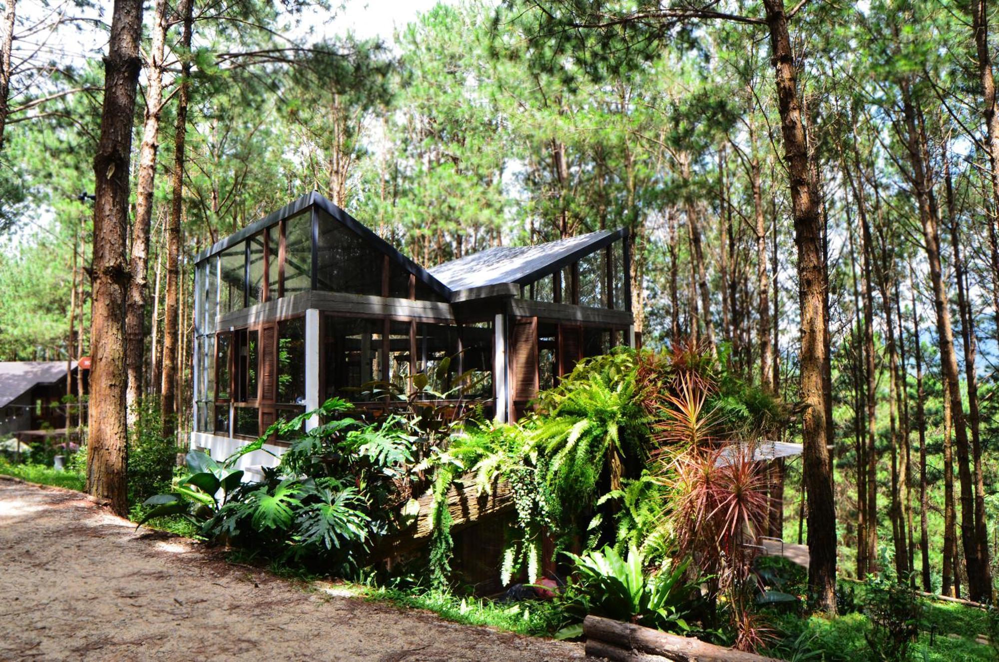 Mo Stay - Forest Resort Dalat Luaran gambar