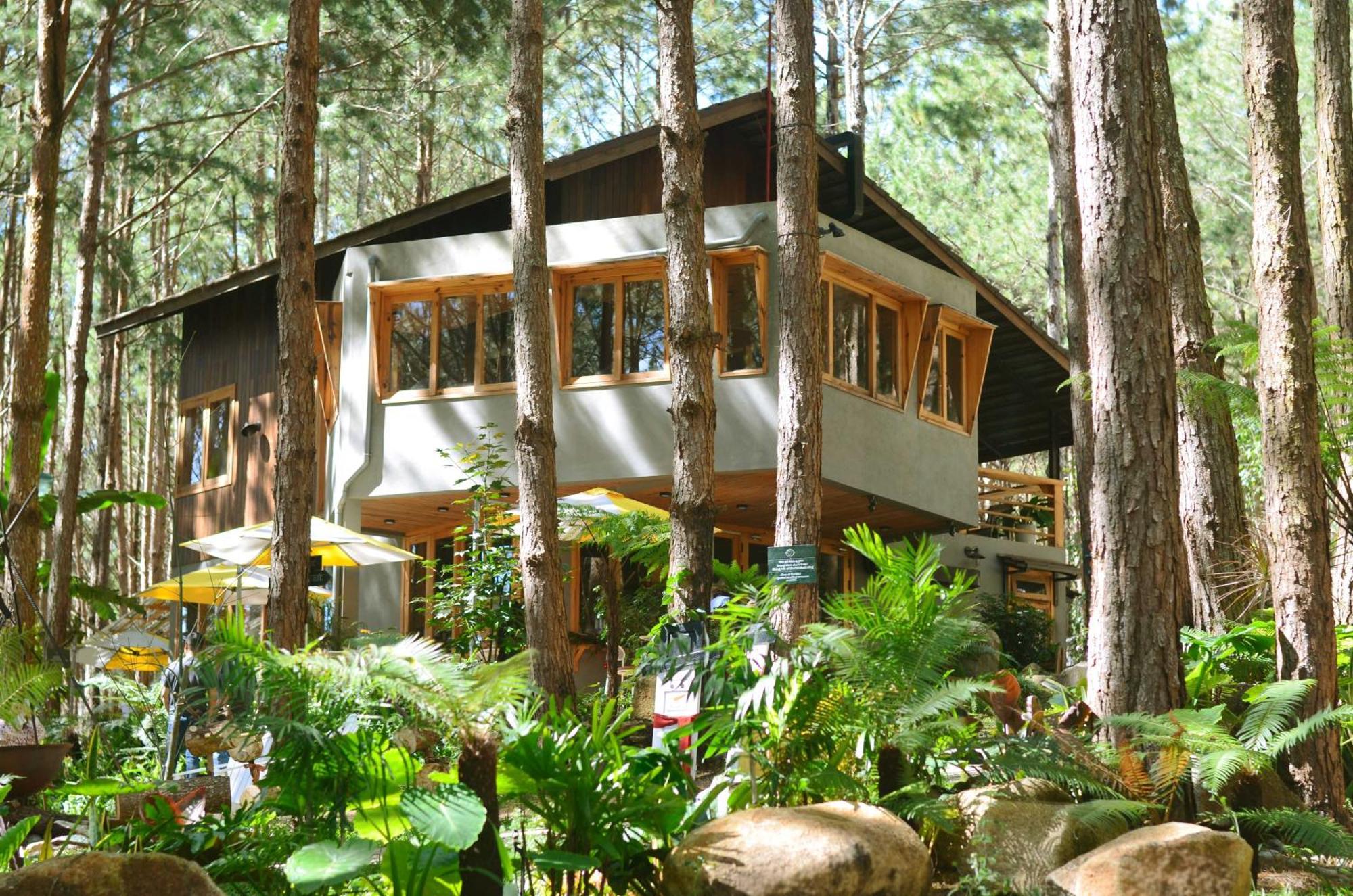 Mo Stay - Forest Resort Dalat Luaran gambar