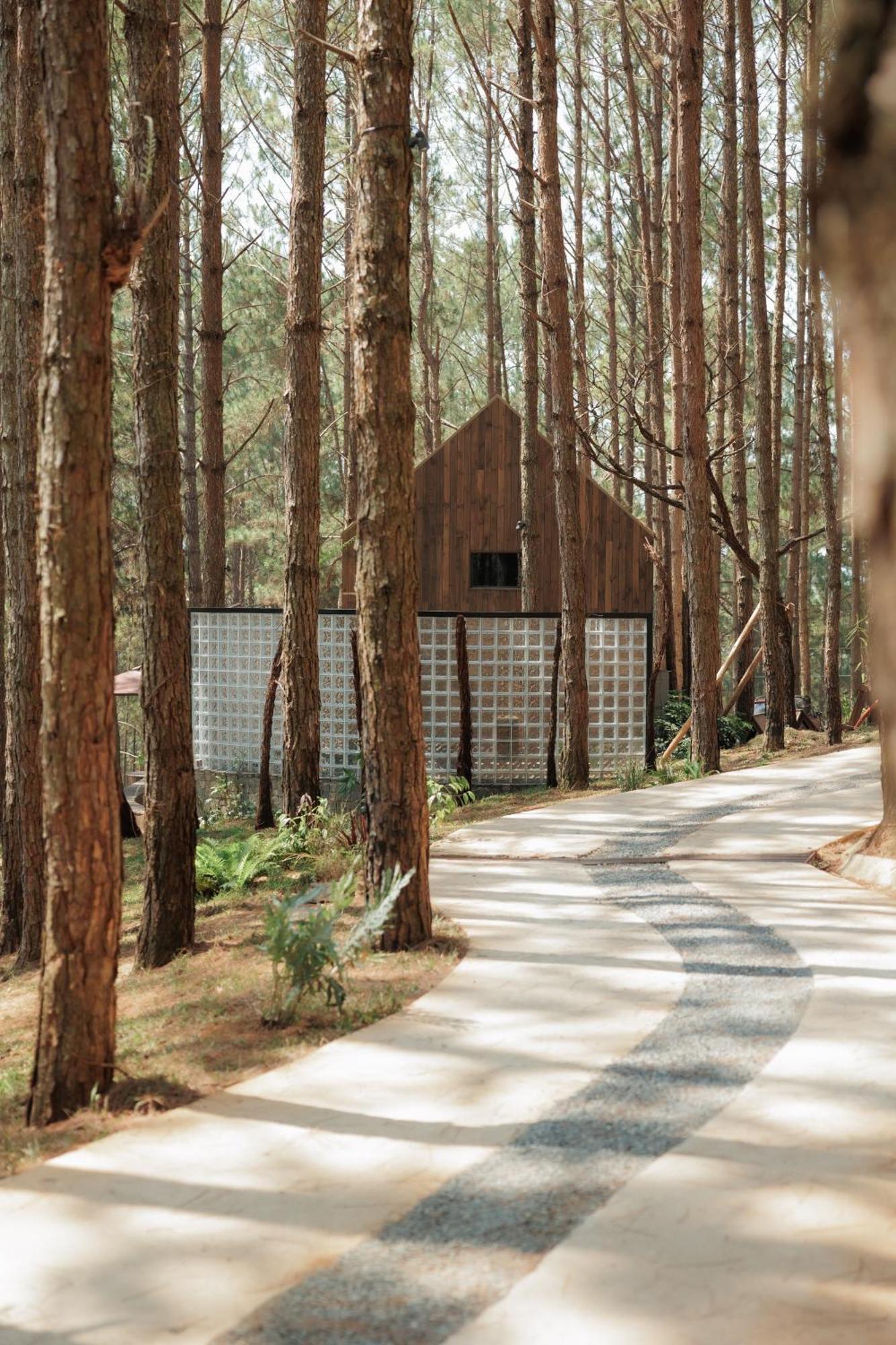 Mo Stay - Forest Resort Dalat Luaran gambar
