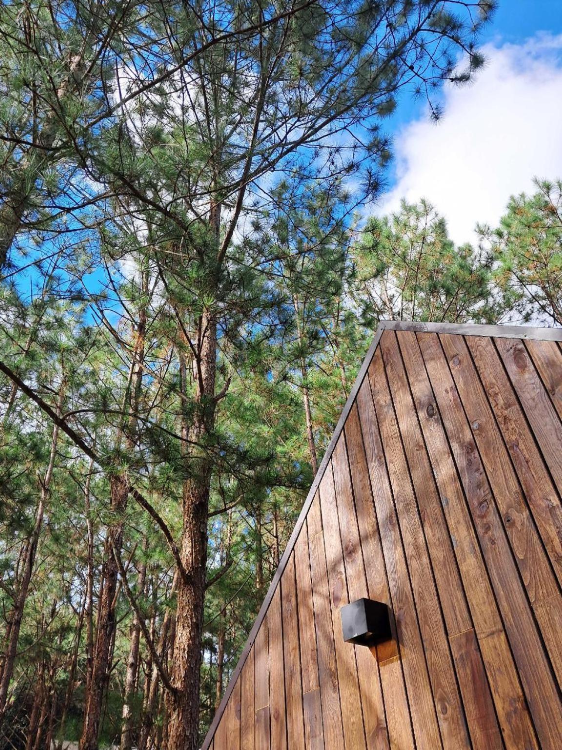 Mo Stay - Forest Resort Dalat Luaran gambar
